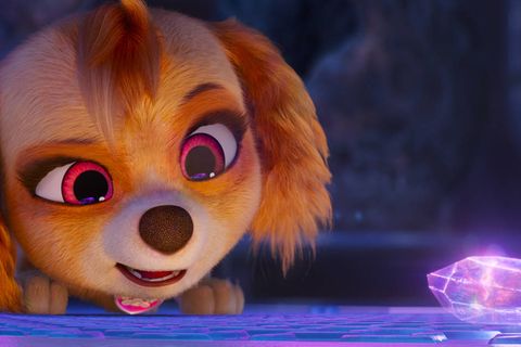 Horror-Trailer vor Kinderfilm Paw-Patrol