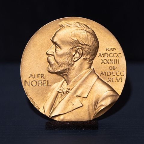 So sieht die Literaturnobelpreis-Medaille aus