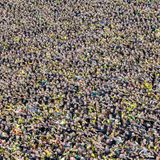 Hans-Jürgen Burkard, 2013: BVB-Fans beim Champions League-Finale zwischen Bayern München und Borussia Dortmund  Hier abstimmen: www.stern.de/voting75