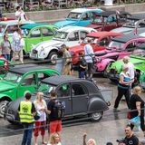 Bunte Enten auf einem Parkplatz