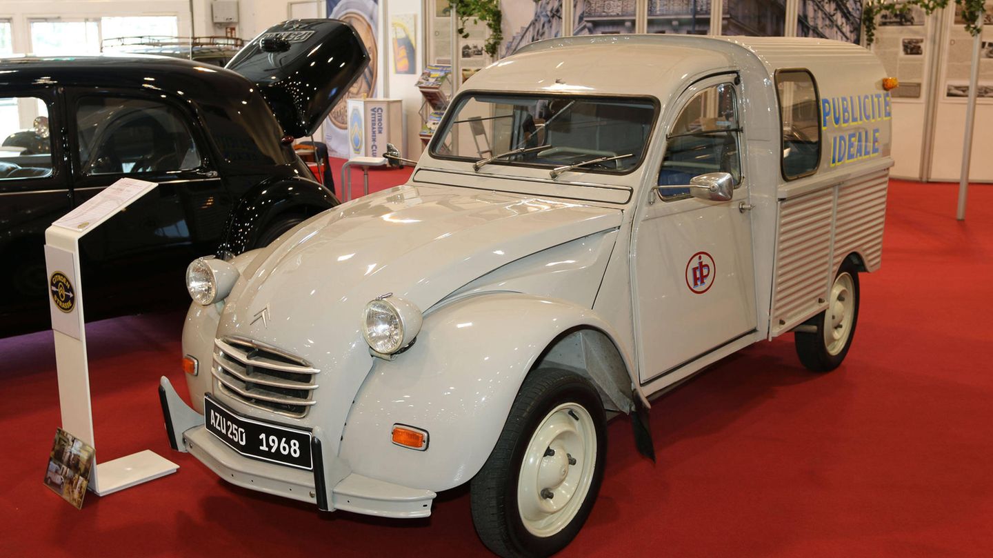 Eine Ente als grauer Lieferwagen