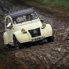 Eine Ente fährt durch den Schlamm