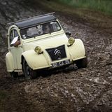 Eine Ente fährt durch den Schlamm