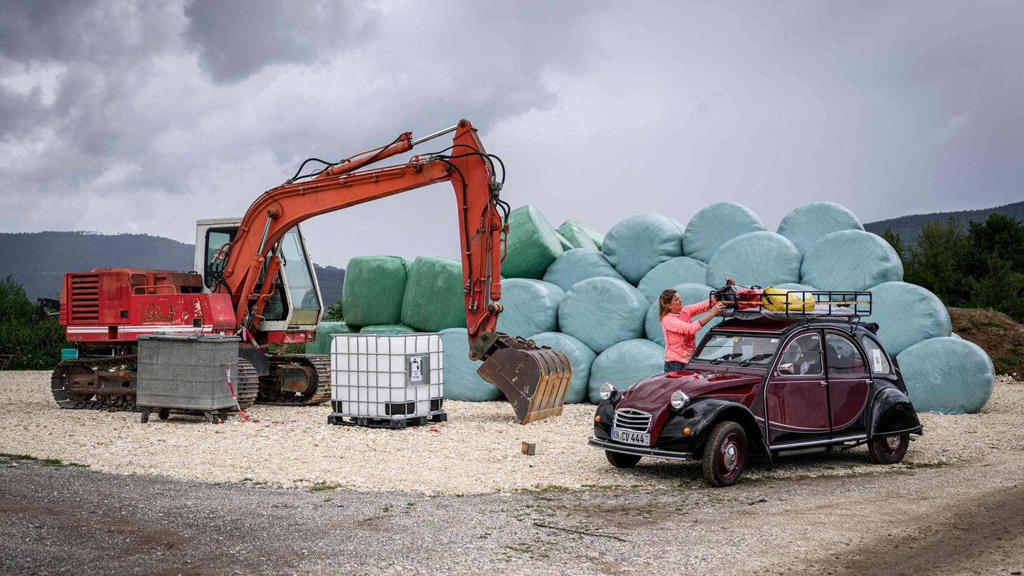 Besonders kultig ist bis heute die "Charleston"-Ente mit dem markanten Design, die im Oktober 1980 Premiere hatte