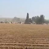 Israel: Festival-Teilnehmer flüchten vor den Hamas