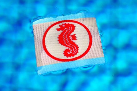 Seepferdchen-Abzeichen für Schwimmkurs in Wasser