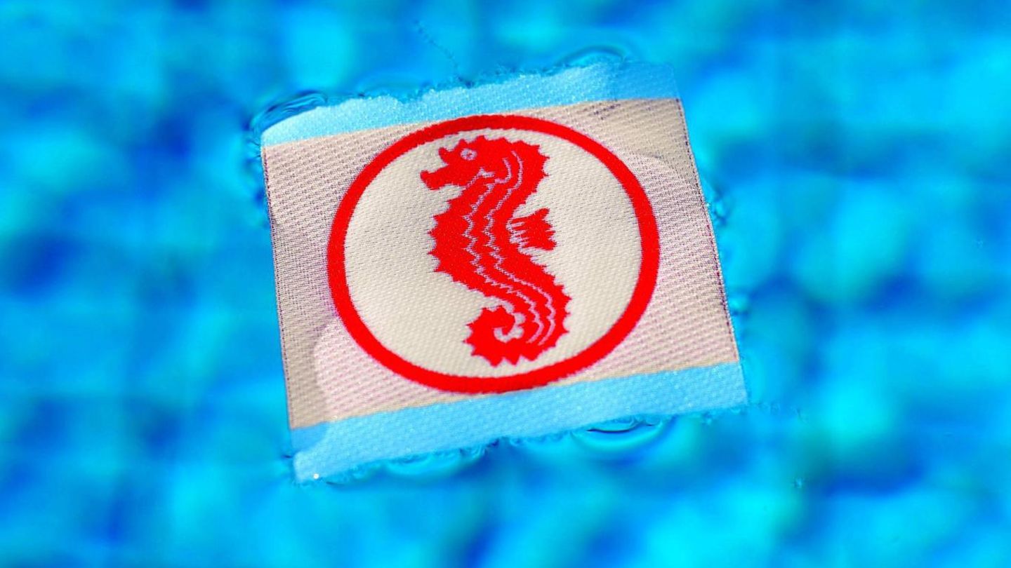 Seepferdchen-Abzeichen für Schwimmkurs in Wasser