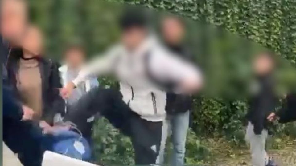 Schlägerei zwischen Lehrer und Schüler wegen Palästina-Flagge