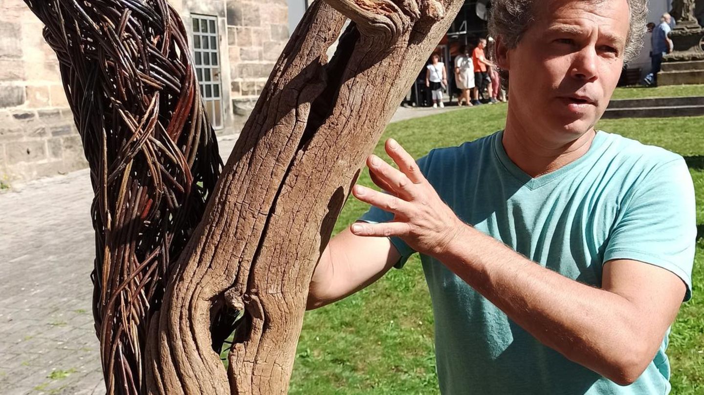 Mann umarmt Baum mit Flechtwerk