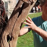 Mann umarmt Baum mit Flechtwerk