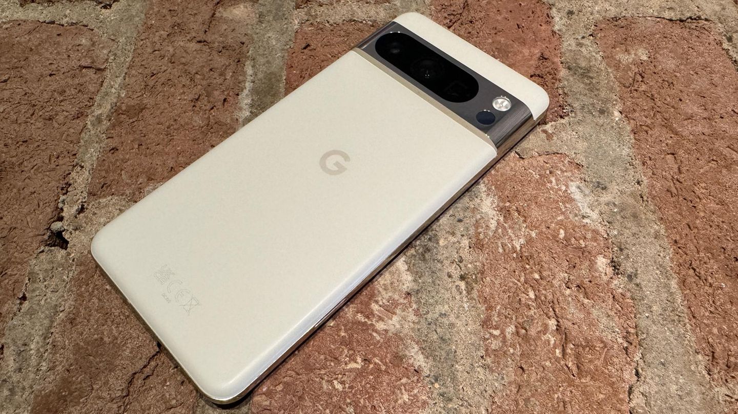 Google Pixel 8 Pro Rückseite