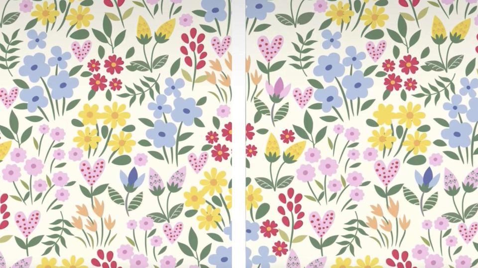 Suchbild: Schneller Augentest: Finden Sie die Fehler auf den Blumen-Bildern? Suchbild: Schneller Augentest: Finden Sie die Fehler auf den Blumen-Bildern?