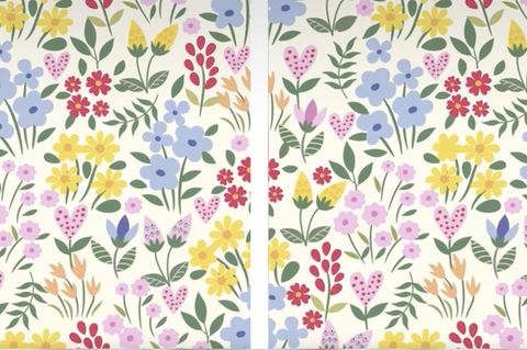 Suchbild: Schneller Augentest: Finden Sie die Fehler auf den Blumen-Bildern?