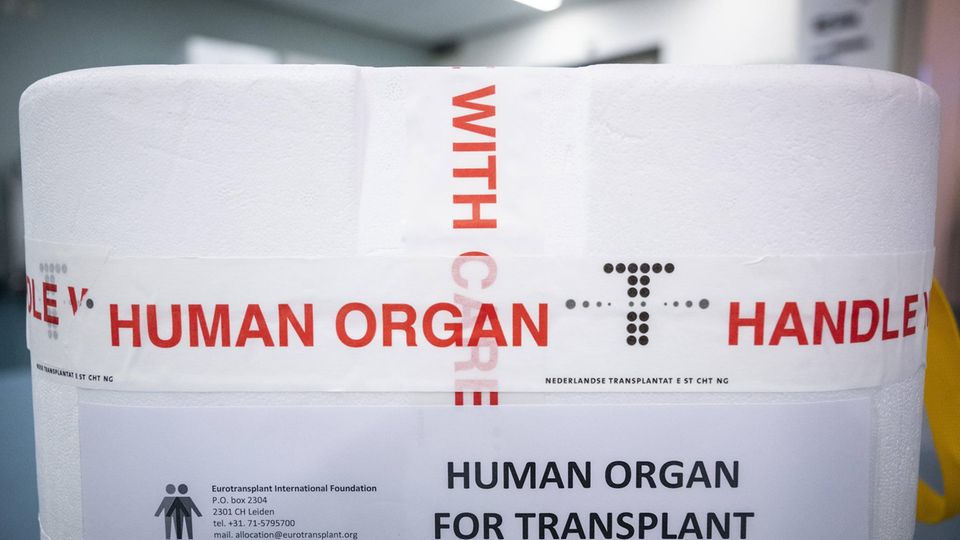 Weiße Box mit Spenderorgan Weiße Box mit Spenderorgan