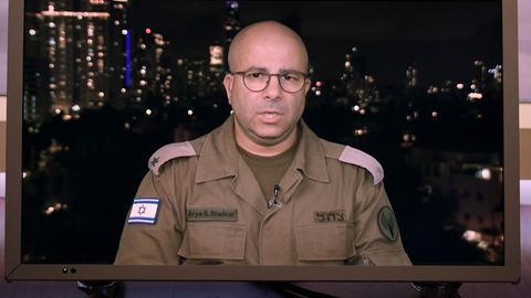 Arye Sharuz Shalicar, Sprecher des israelischen Militärs,