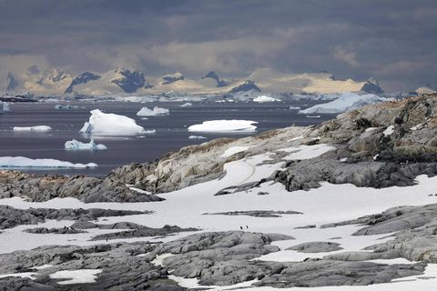 Blick auf die Antarktis