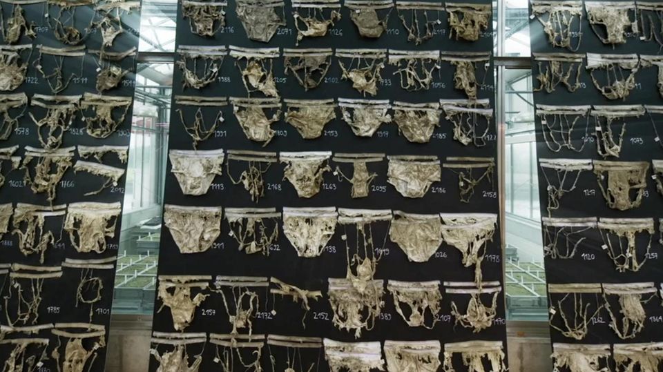 Unkonventionelles Experiment: Verrottete Schlüpfer – warum 2000 Schweizer ihre Unterhosen vergraben