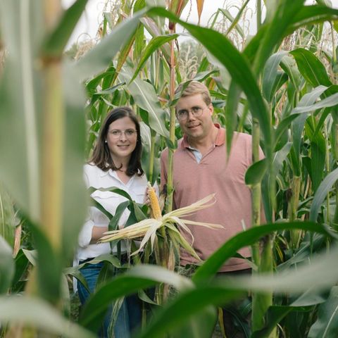 Christina und Christoph stehen in einem Maisfeld