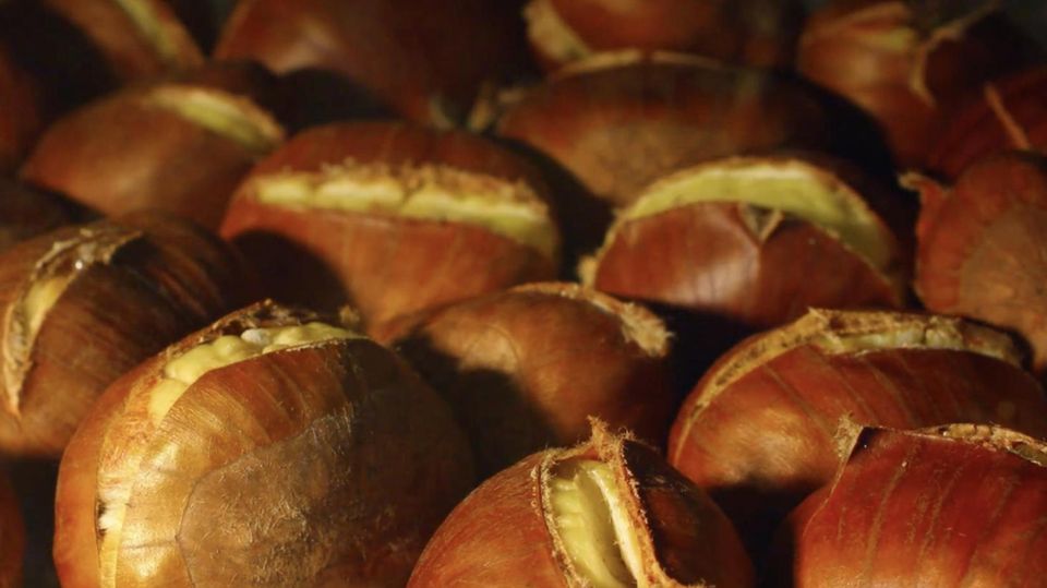 Köstliches Maronen-Gulasch: Das Rezept zum Nachkochen | STERN.de