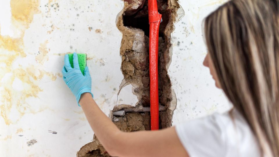 Für Wasserschäden und Schimmel in einer Wohnung kommt im Normalfall der Vermieter auf