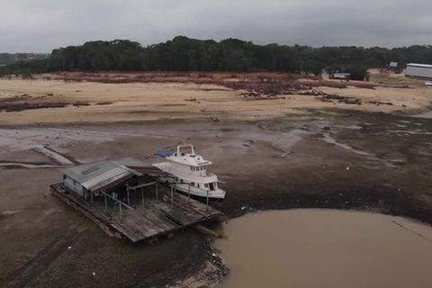 Brasilien: Dürre am Amazonas: Niedrigster Wasserstand seit über einem Jahrhundert