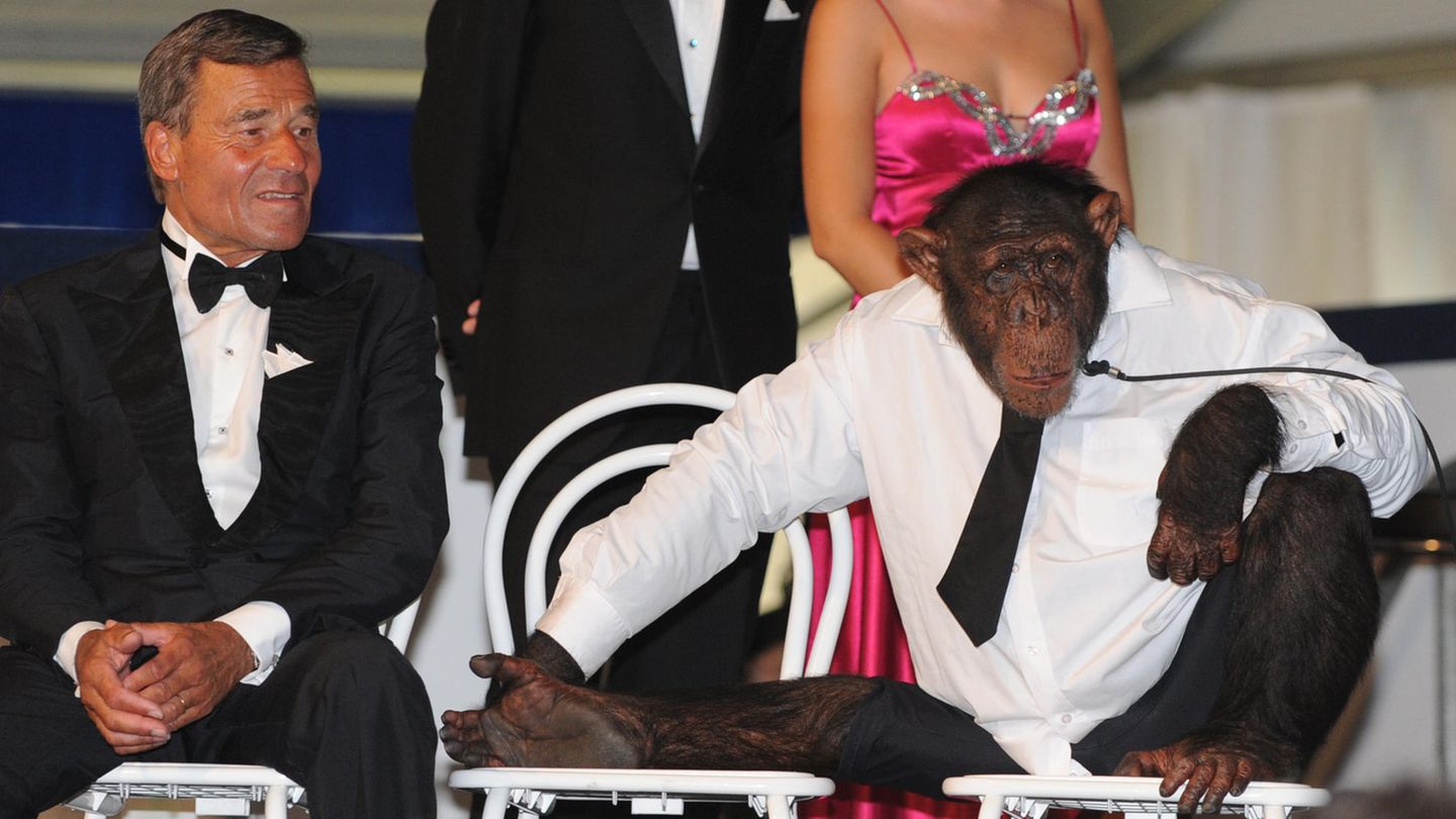 Wolfgang Grupp Wolfgang Grupp