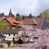Luftkurort und Wintersportmekka mitten in Niedersachsen – Braunlage gilt nicht umsonst auch als beliebtes Reiseziel für Wanderer. Die unmittelbare Nähe zum Nationalpark Harz macht das kleine Städtchen besonders attraktiv für alle, die zu Fuß die Natur aus bunten Wäldern, Wiesen und Bergen erkunden wollen. Im Winter verwandelt sich der Ort zum regelrechten Skiparadies. 