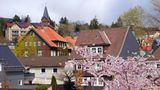 Luftkurort und Wintersportmekka mitten in Niedersachsen – Braunlage gilt nicht umsonst auch als beliebtes Reiseziel für Wanderer. Die unmittelbare Nähe zum Nationalpark Harz macht das kleine Städtchen besonders attraktiv für alle, die zu Fuß die Natur aus bunten Wäldern, Wiesen und Bergen erkunden wollen. Im Winter verwandelt sich der Ort zum regelrechten Skiparadies. 