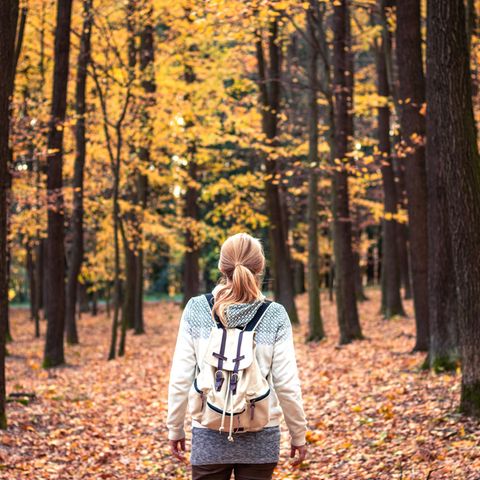 Lust auf einen Wanderurlaub im Herbst?
