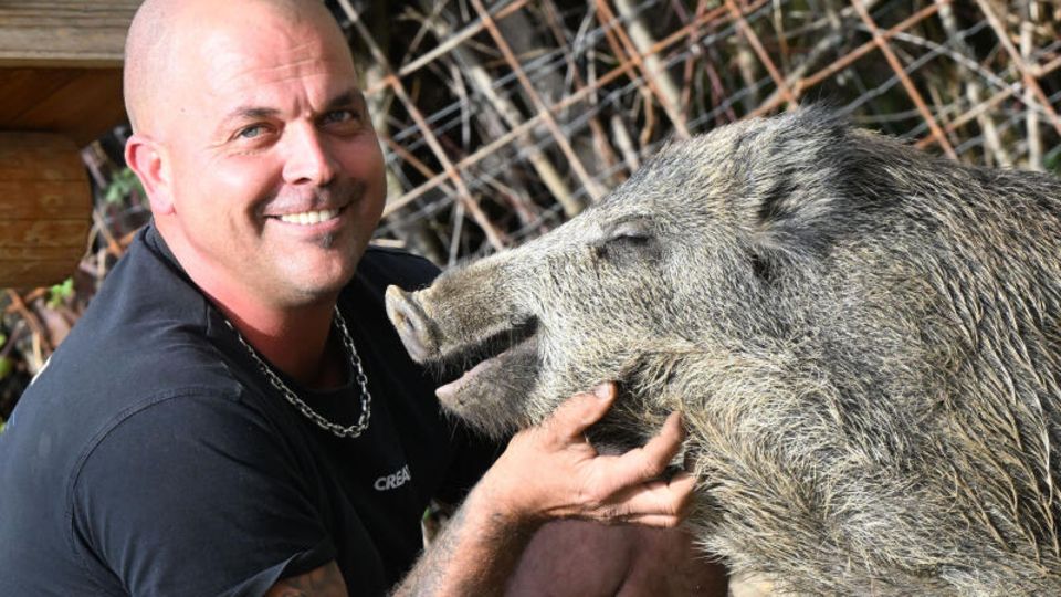 Wildschwein als Haustier: Dennis Renschler und sein Tier | STERN.de