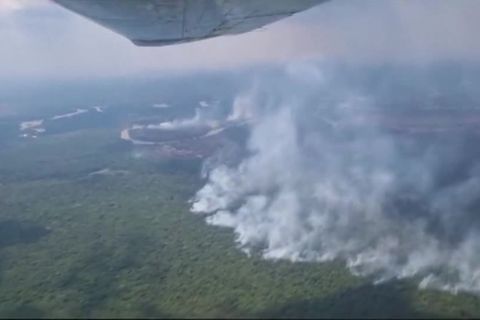 Video: Amazonas-Wald in Bolivien brennt