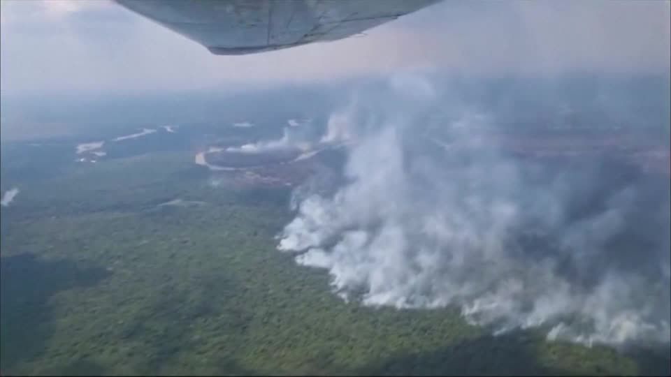 Video: Amazonas-Wald in Bolivien brennt