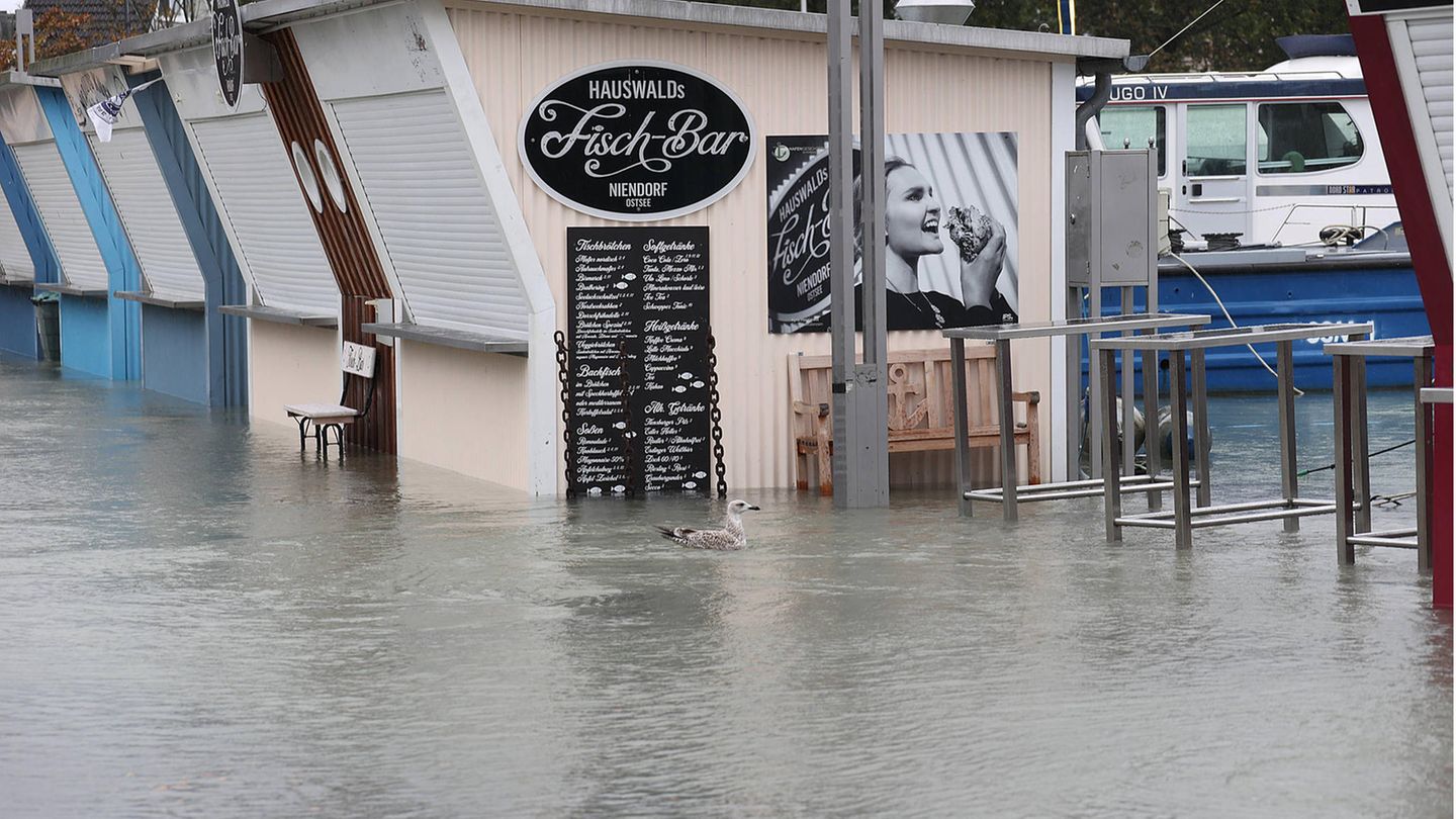 Der Niendorfer Hafen ist in Teilen überschwemmt