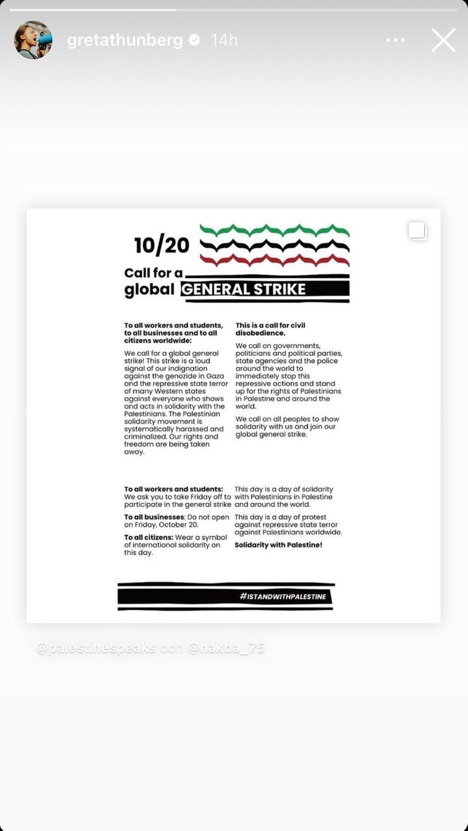 Screenshot der Instagram-Story von Greta Thunberg