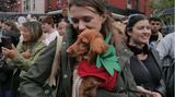 Halloween Hunde Parade Tompkins Square New York