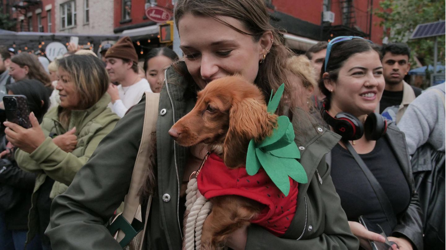 Halloween Hunde Parade Tompkins Square New York