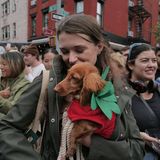 Halloween Hunde Parade Tompkins Square New York