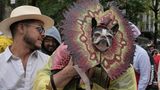 Halloween Hunde Parade Tompkins Square New York