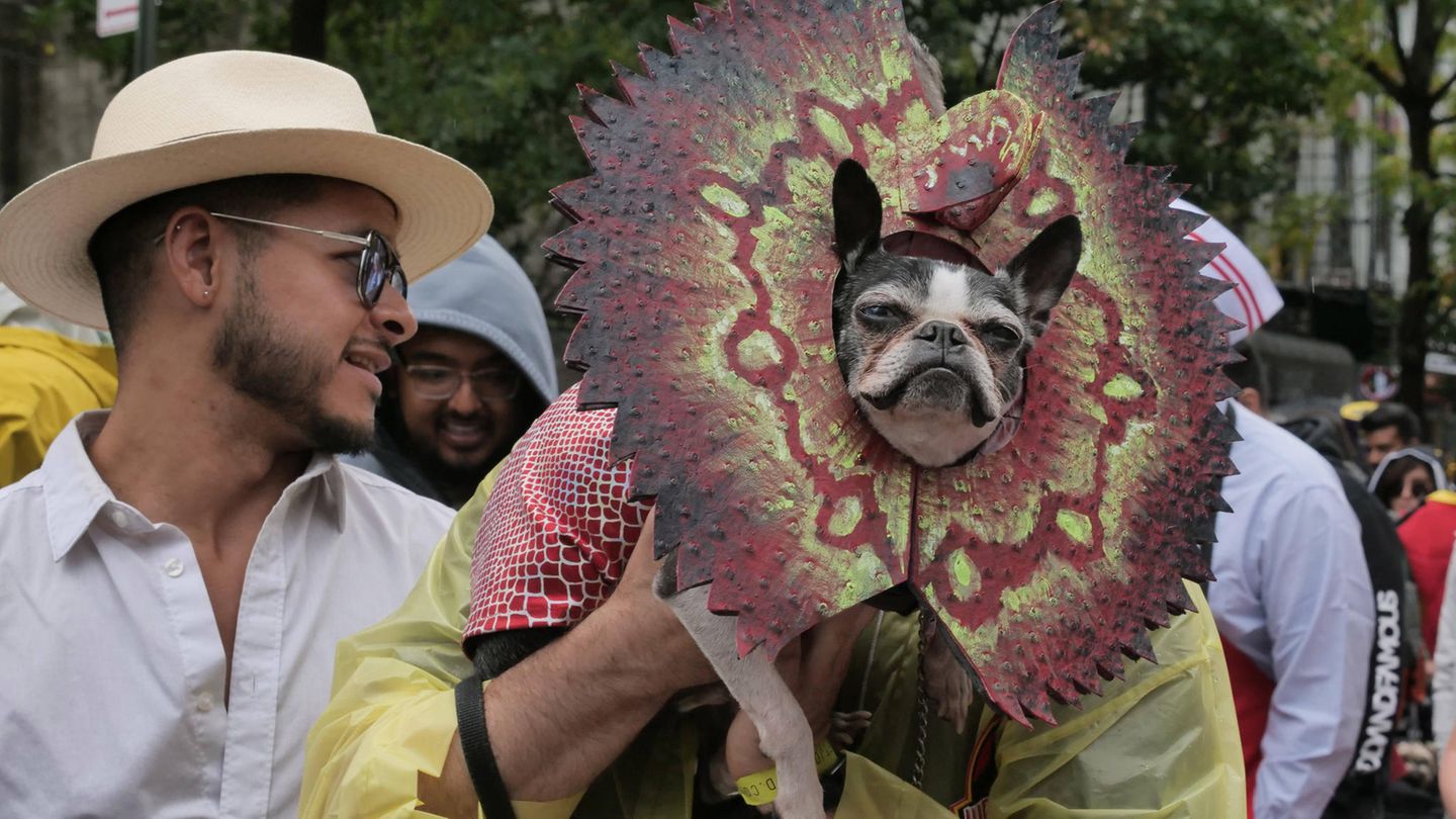 Halloween Hunde Parade Tompkins Square New York