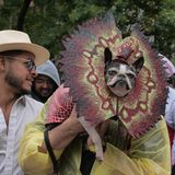 Halloween Hunde Parade Tompkins Square New York