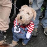 Halloween Hunde Parade Tompkins Square New York