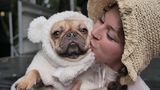 Halloween Hunde Parade Tompkins Square New York