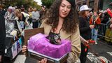 Halloween Hunde Parade Tompkins Square New York