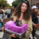 Halloween Hunde Parade Tompkins Square New York