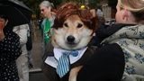 Halloween Hunde Parade Tompkins Square New York