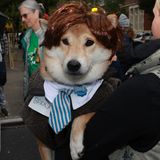 Halloween Hunde Parade Tompkins Square New York