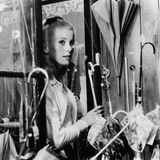 Ihren Durchbruch hatte Deneuve mit dem Film "Die Regenschirme von Cherbourg" von Jacques Demy. Regisseur Benoît Jacquot sagte damals, der Film sei "das Herz von Deneuves Kunst" und symbolisiere die blonde, kühle und geheimnisvolle Schönheit, als die Deneuve bis heute noch gesehen wird. Damals erhielt die 21-Jährige den französischen Filmpreis Étoile de Cristal als beste Darstellerin. Und auch das internationale Publikum wurde zunehmend aufmerksam auf die blonde Schönheit. 1965 wurde sie für den Playboy abgelichtet.