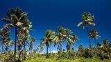 Ein unberührtes Paradies im Indischen Ozean, das sind die Komoren. Die afrikanische Inselgruppe liegt zwischen Mosambik und Madagaskar und verfügt über eine artenreiche Tier- und Pflanzenwelt. Allerdings sind die Komoren von Deutschland aus schwer erreichbar – der nächste Airport mit Direktflügen liegt in Paris. Urlaub machen jedes Jahr rund 45.000 Menschen auf den Inseln. 