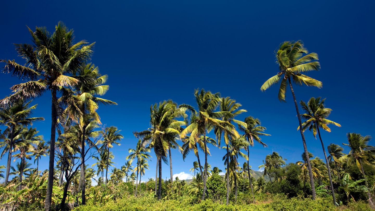 Platz 9: Komoren, Afrika Ein unberührtes Paradies im Indischen Ozean, das sind die Komoren. Die afrikanische Inselgruppe liegt zwischen Mosambik und Madagaskar und verfügt über eine artenreiche Tier- und Pflanzenwelt. Allerdings sind die Komoren von Deutschland aus schwer erreichbar – der nächste Airport mit Direktflügen liegt in Paris. Urlaub machen jedes Jahr rund 45.000 Menschen auf den Inseln.
