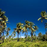 Ein unberührtes Paradies im Indischen Ozean, das sind die Komoren. Die afrikanische Inselgruppe liegt zwischen Mosambik und Madagaskar und verfügt über eine artenreiche Tier- und Pflanzenwelt. Allerdings sind die Komoren von Deutschland aus schwer erreichbar – der nächste Airport mit Direktflügen liegt in Paris. Urlaub machen jedes Jahr rund 45.000 Menschen auf den Inseln. 